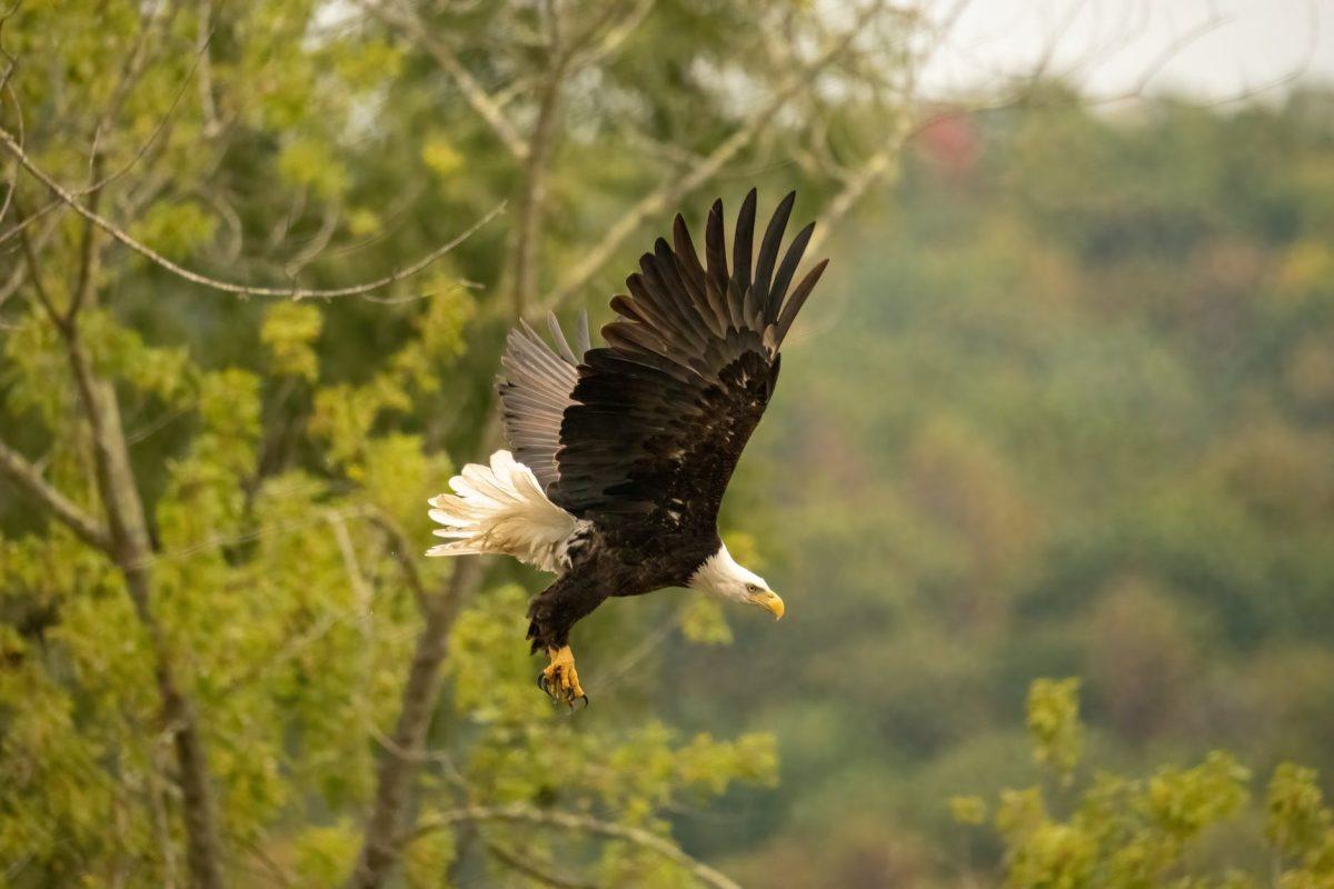 Photo by Tom Fisk on Pexels.com