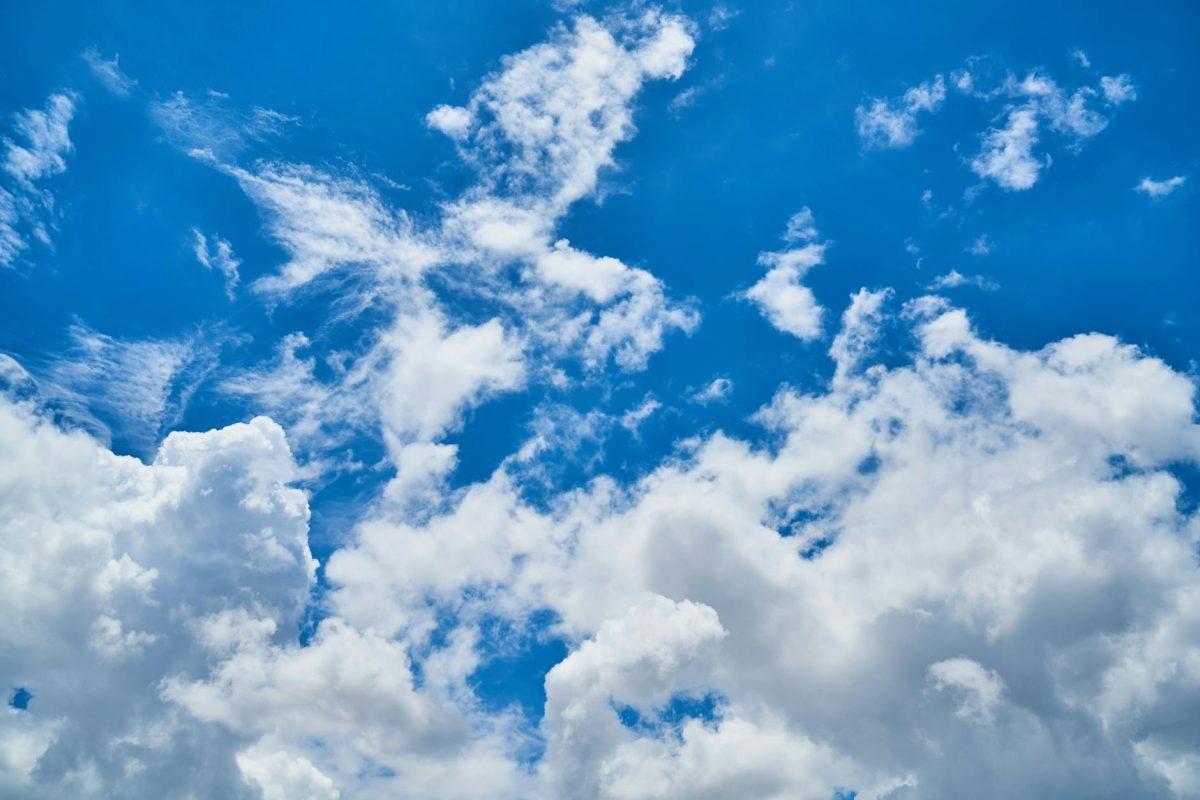 Photo by Pixabay on Pexels.com