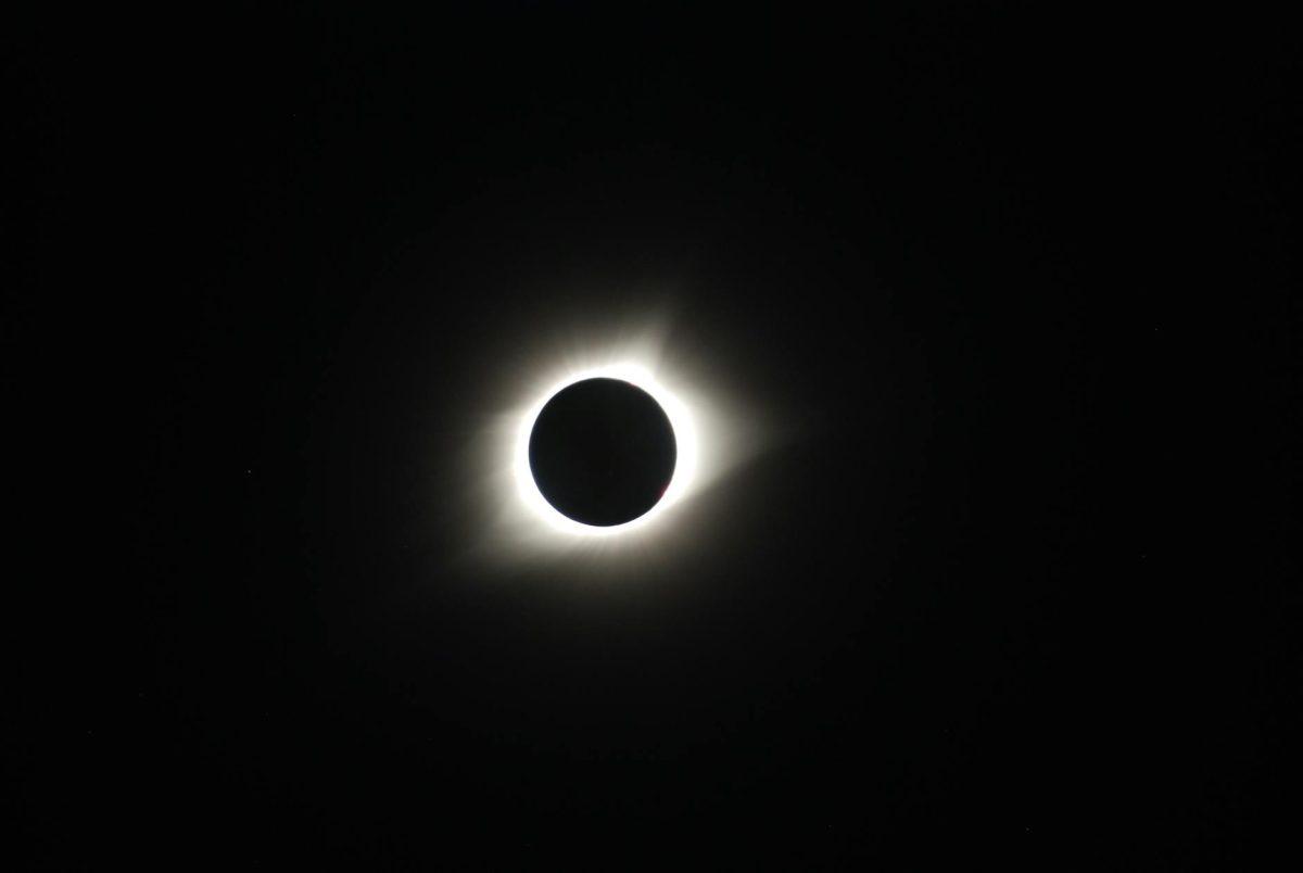 Photo by Elizabeth Olson on Pexels.com