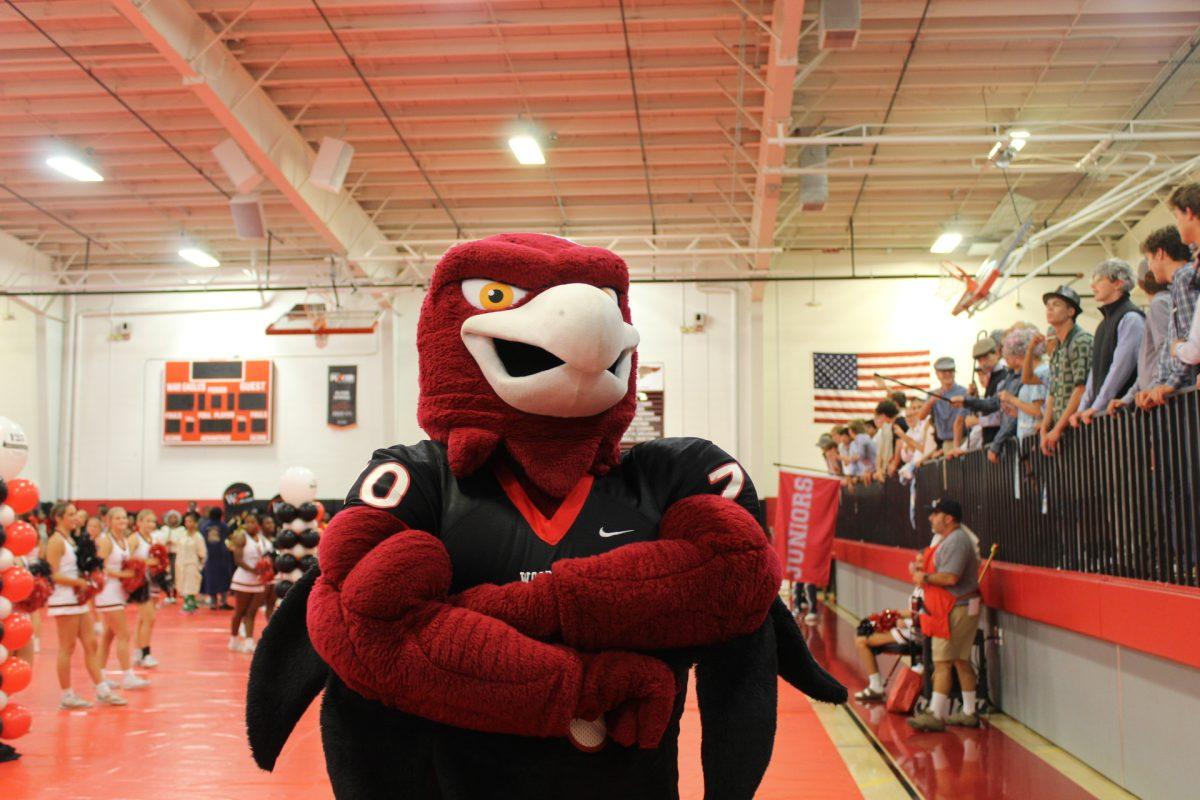Homecoming Pep Rally: Let the Games Begin