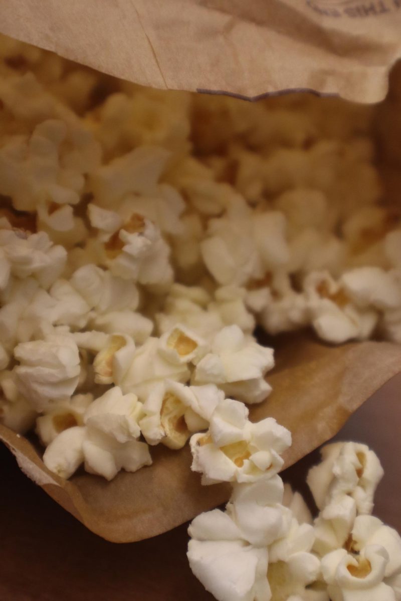 Popcorn is the best part about going to to this movie.