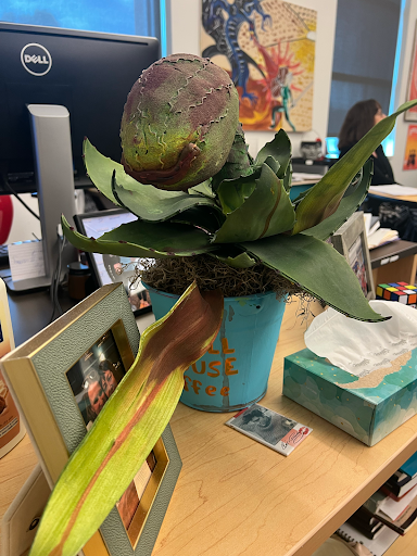 Jen Kilogram’s evil plant is waiting for its next victim. Photo credit Sabenah Abudu-Abrams ‘26